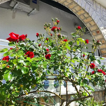 Apartament Zeljka 3 By Interhome *