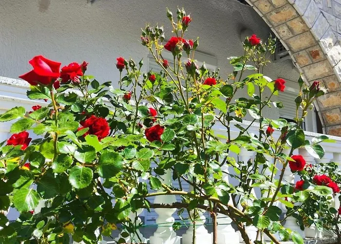 Apartament Zeljka 3 By Interhome *